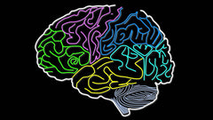 Keep Your Mind Young with Puzzles