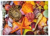 Starfish and Shells - 750 Piece Sensory Puzzle