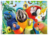 Selfies - Perfect Parrot Selfies - 500 Piece Puzzle